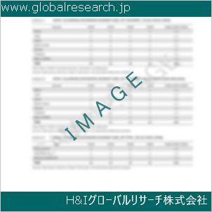 グローバルリサーチ調査資料のイメージ